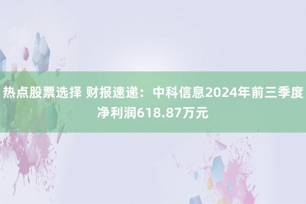 热点股票选择 财报速递：中科信息2024年前三季度净利润618.87万元