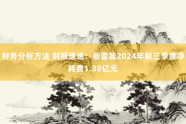 财务分析方法 财报速递：新雷能2024年前三季度净耗费1.38亿元