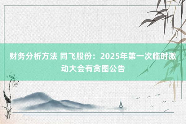 财务分析方法 同飞股份：2025年第一次临时激动大会有贪图公告