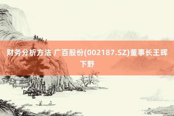 财务分析方法 广百股份(002187.SZ)董事长王晖下野