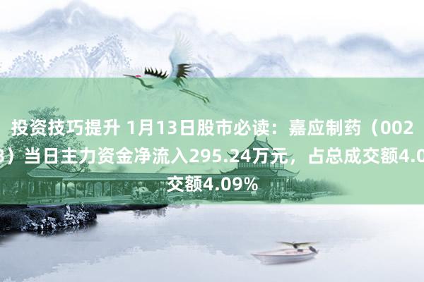 投资技巧提升 1月13日股市必读：嘉应制药（002198）当日主力资金净流入295.24万元，占总成交额4.09%