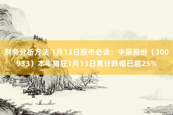 财务分析方法 1月13日股市必读：中辰股份（300933）本年猖狂1月13日累计跌幅已超25%