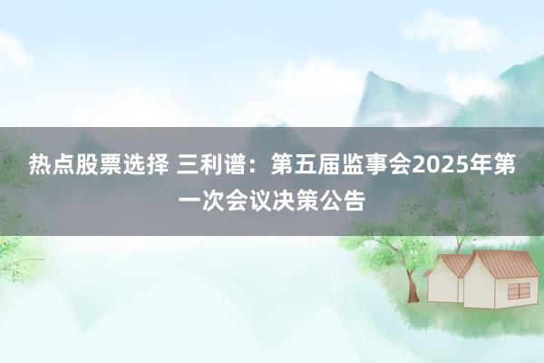 热点股票选择 三利谱：第五届监事会2025年第一次会议决策公告