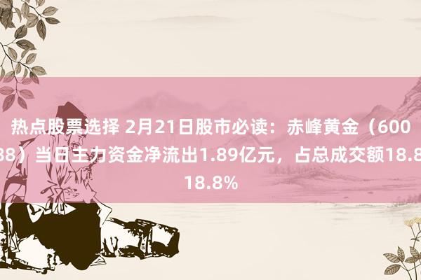 热点股票选择 2月21日股市必读：赤峰黄金（600988）当日主力资金净流出1.89亿元，占总成交额18.8%