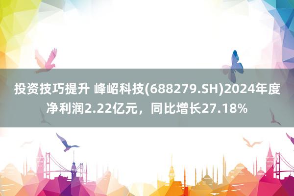 投资技巧提升 峰岹科技(688279.SH)2024年度净利润2.22亿元，同比增长27.18%