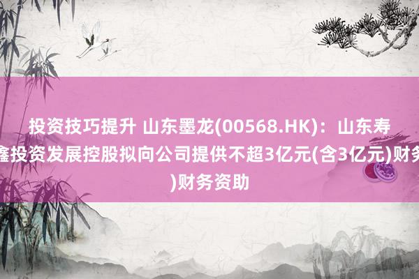 投资技巧提升 山东墨龙(00568.HK)：山东寿光金鑫投资发展控股拟向公司提供不超3亿元(含3亿元)财务资助