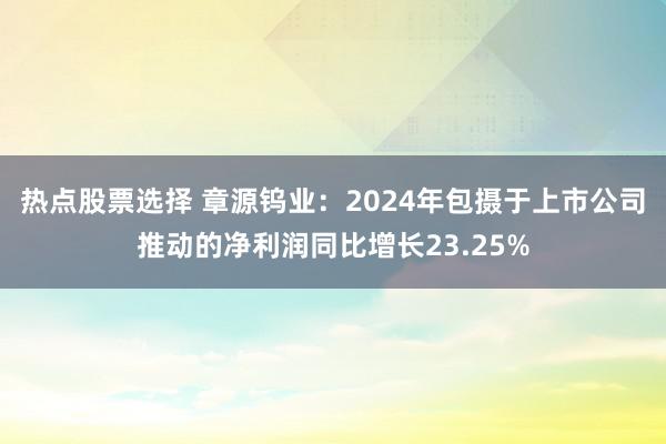 热点股票选择 章源钨业：2024年包摄于上市公司推动的净利润同比增长23.25%