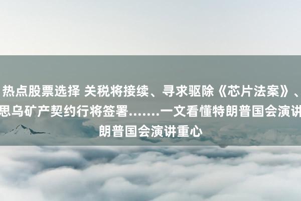 热点股票选择 关税将接续、寻求驱除《芯片法案》、好意思乌矿产契约行将签署.......一文看懂特朗普国会演讲重心