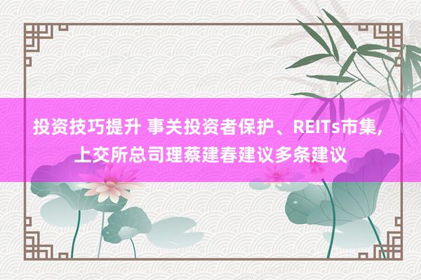 投资技巧提升 事关投资者保护、REITs市集, 上交所总司理蔡建春建议多条建议