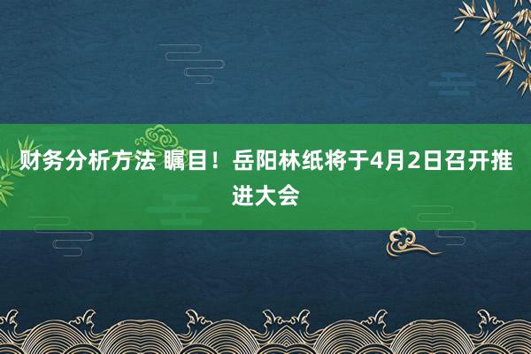 财务分析方法 瞩目！岳阳林纸将于4月2日召开推进大会