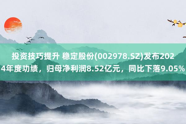 投资技巧提升 稳定股份(002978.SZ)发布2024年度功绩，归母净利润8.52亿元，同比下落9.05%