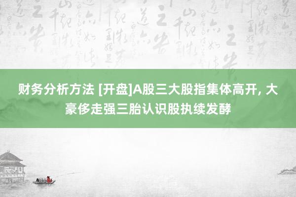 财务分析方法 [开盘]A股三大股指集体高开, 大豪侈走强三胎认识股执续发酵